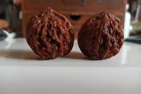 十年前买的一对大阴皮盘山公子帽核桃图片
