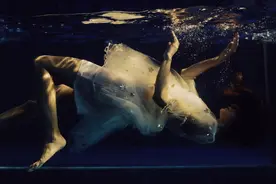 梦幻少女水下写真，他拍出少女的灵动与轻盈图片