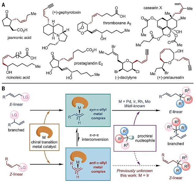 “铱”顺百顺——铱催化Z式保留不对称烯丙基取代反应
