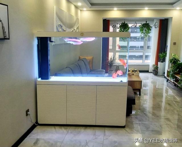 给底滤鱼缸做干湿分离，理论合理，效果惹争议
