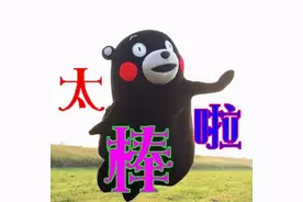 最新招聘！提供超3000个岗位！找工作的你别错过→图片