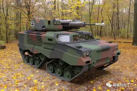 鼬鼠接班人！德国推出新一代GSD LuWa空降战车图片