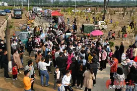 朱楼村变了！朱之文乡村大舞台即将建成，大衣哥一人“带活”一个村图片