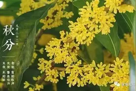 “秋分响雷，遍地生贼”，想起正月的那声雷，我对农谚多了丝敬畏图片