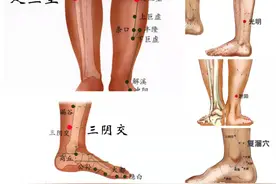 治痿五要穴图片