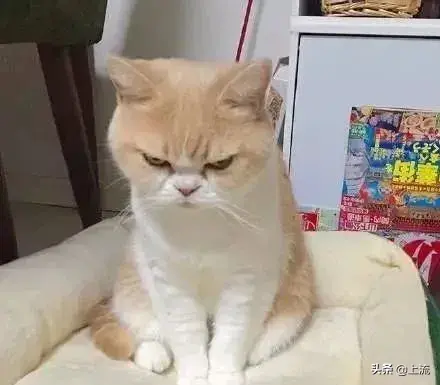 身上鸡皮疙瘩变红一片一片的