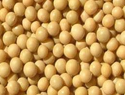 高中生物学习经验分享