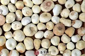 半夏有毒？图片