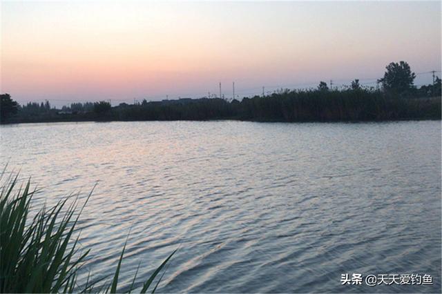 盛夏夜钓草鱼，钓近还是钓远？钓浮还是钓底？有几个建议可以参考