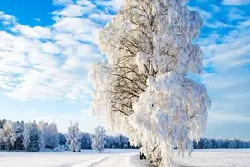 俗语“飘雪落坟，必出贵人；灵牌遭雨，后人必苦”能相信吗？图片