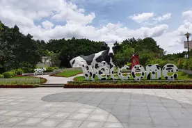 扬子工业科技有限公司为光明农场配备的YZ-S13驾驶式扫地机图片