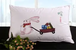 适合你用的枕头是那种？你需要真正的了解图片