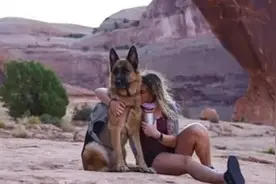 满满的威慑力，就能保护女主人的狗——德国牧羊犬！图片