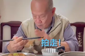 广东一爷爷表面赶猫，小动作却让网友破防：像极爷爷宠我们的样子图片
