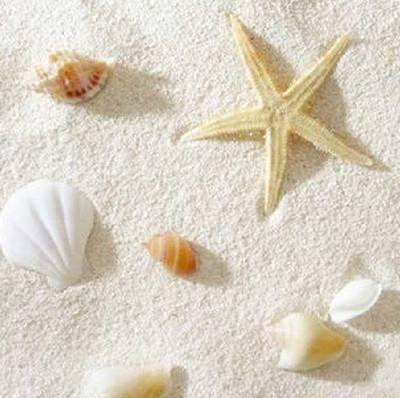 养鱼避免不了铺底沙，不同鱼搭配不同底沙，如何选择变得尤为重要