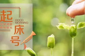 【起床号】5月4日，早安！歌曲《爱的奉献》图片