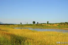 两会转告：农村二女户政策，二女户365天补贴多少钱？图片