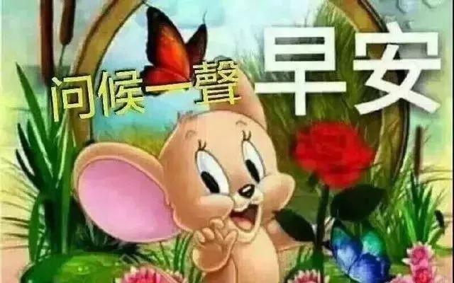 若，人走茶凉，就守心自暖；若，曲终人散，就安享经年，早安