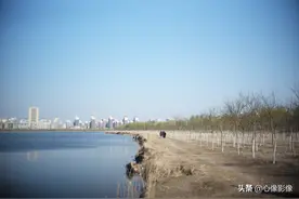 潮白河边有人垂钓野炊放羊，春光虽好防疫不能松懈图片