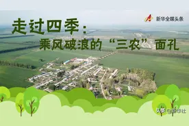 走过四季：乘风破浪的“三农”面孔图片