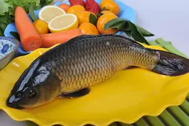 同样是鱼肉，“鲤鱼”和“草鱼”有啥区别？搞懂后再买，才不吃亏图片