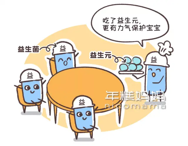 乳酸菌身体乳是啥