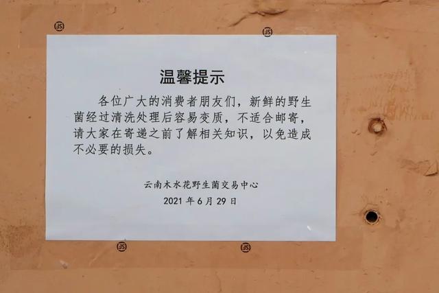 吃蘑菇起鸡皮疙瘩 吃蘑菇起鸡皮疙瘩