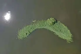 山水沈阳 秘境寻踪：辽中蒲河，河之归处是我心图片