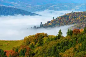 春深无客到，一路落松花。读古诗词，品古人山水情结图片