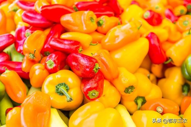 磷酸二氢钾+白醋，喷在辣椒茄子等蔬菜上，会出现意想不到的效果