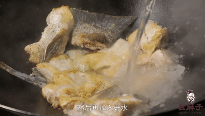 花胶老鸽汤需要放血 2026年花胶老鸽汤需要放血炖吗