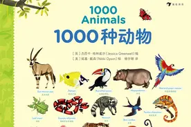好笑，真是学英语的最佳利器（2）图片