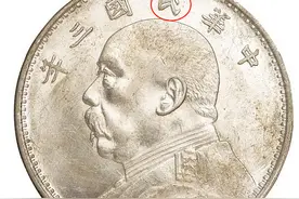 手稿 |“袁大头”的收藏与鉴别图片