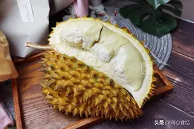 同为常见水果，榴莲为何那么贵？看了采摘过程：确实贵有贵的道理图片
