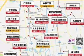 卖不动！苏州这个板块7大楼盘成交量曝光！最惨7个月卖81套图片