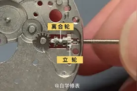 《自学修表》：手动机芯拆解及结构原理讲解图片