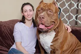 世界上那些有趣的冷知识，你们都知道哪些？图片