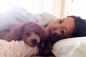 养狗这么多年，现在才知道泰迪犬这几个动作，背后的意思图片