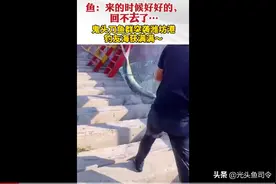 鬼头刀突袭山东潍坊，疯狂吃钩，网友：这鱼看着怎么像假的？图片