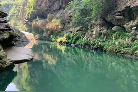 广西钓友，地下河出口钓起许多牛尾巴，最大的近半米长图片