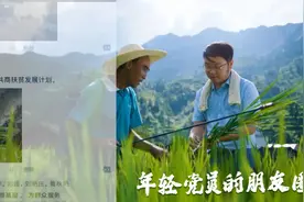 独家｜小体量大作为，湖南台公益广告创意探秘图片