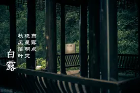 “处暑萝卜白露菜”，白露后可种5种抗寒蔬菜，附高产种植经验图片