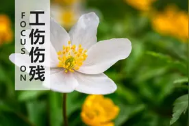 你以为工伤只是赔钱而已吗？处理不好工伤，对企业的伤害很大图片