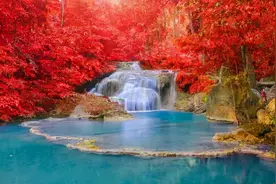 你的“长相”，决定着你的未来，别不信图片