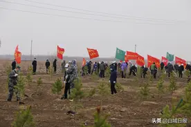 擦亮绿色名片 建设生态鹤乡 ——我市造林绿化工作综述图片