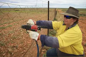澳洲建起五千公里围栏，比中俄边界还长，没有外敌他们在防什么？图片