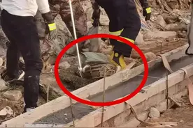 5米长、60斤重巨蛇现身深圳地铁口！或以流浪猫狗为食，不怕雄黄图片