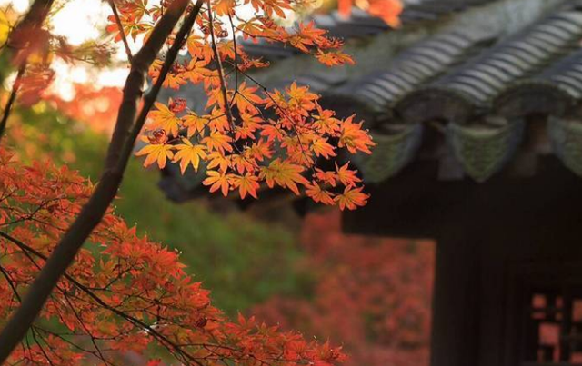 此心只在人心做 说与行人莫误听，十首秋声的诗词，听听秋的声音