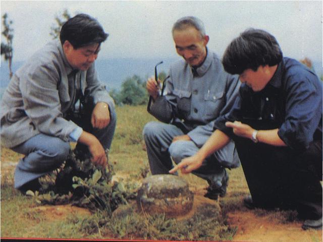 十二生肖到底是怎么来的?为何开始时没有龙