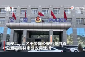 陕西在押人员脱逃案2干警获刑  嫌犯用留置针头打开脚镣逃走图片
